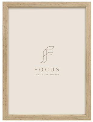 Focus  Willow Oak 21X29,7 (A4)